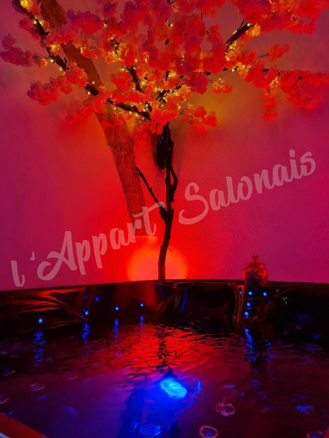 Appartement 70m2 avec jacuzzi privatif Salon-de-Provence Esterno foto